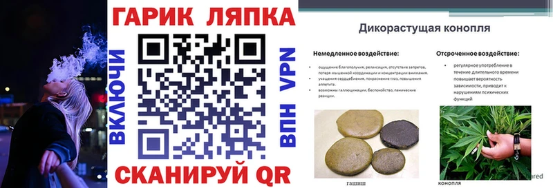 ГАШИШ Premium  Дыгулыбгей 