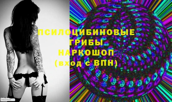гидра Михайлов