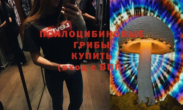 круглые Алексеевка
